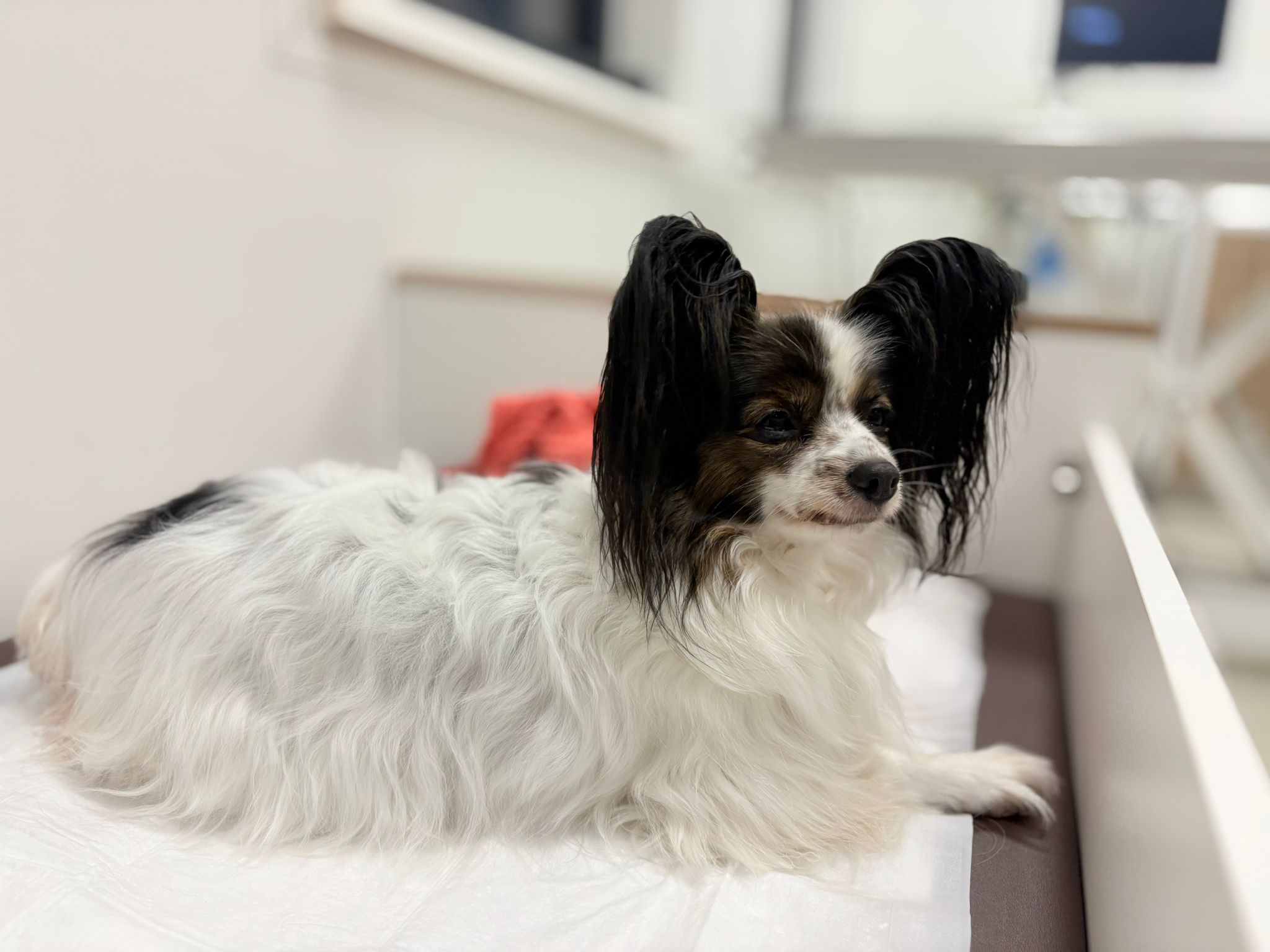 WhatsApp Image 2025-10-26 at 17.48.40